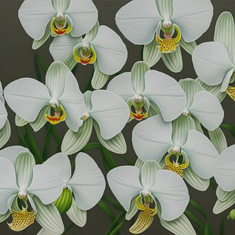 Free Flower Nature photo and picture