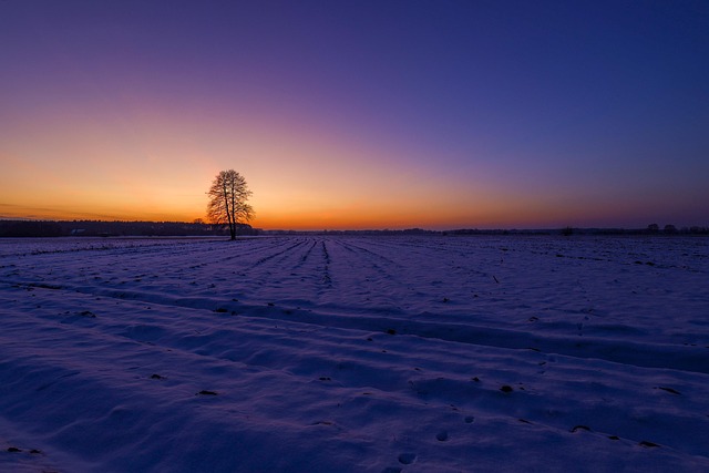 Atardecer, Árbol, Nieve, Polonia