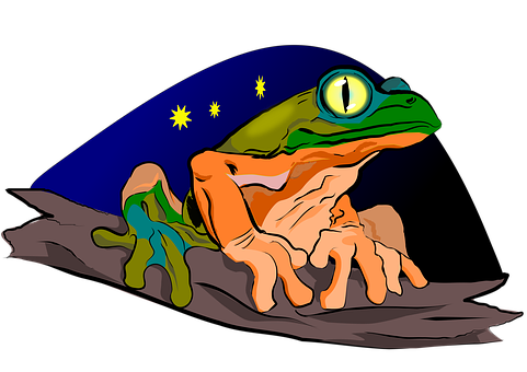 Free Frog Amphibian illustration and picture