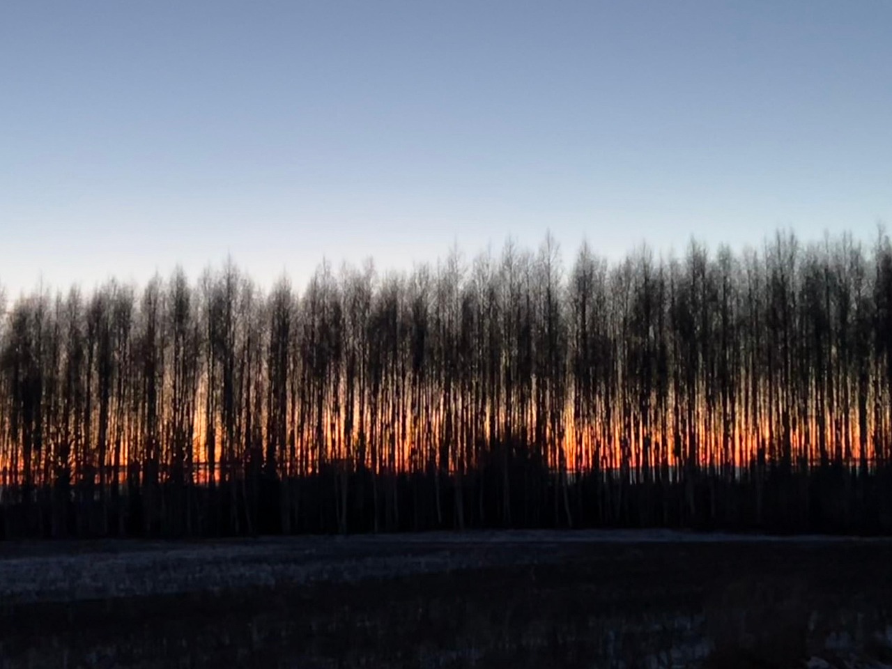 18 Weihnachtskarten Mit Umschlägen, Motiv 'Wald & Sonnenuntergang' – 5x7 Zoll, Inkl. Grußtext