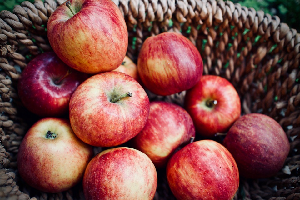 Apples Fruit Agriculture Free photo on Pixabay Pixabay