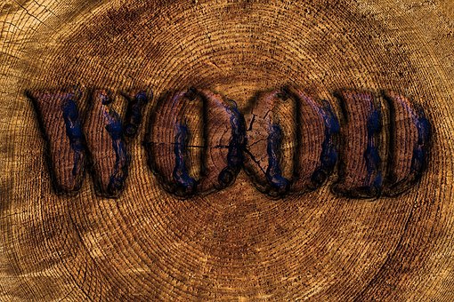 Free Wood Tree photo and picture