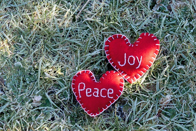 Free Heart Love photo and picture