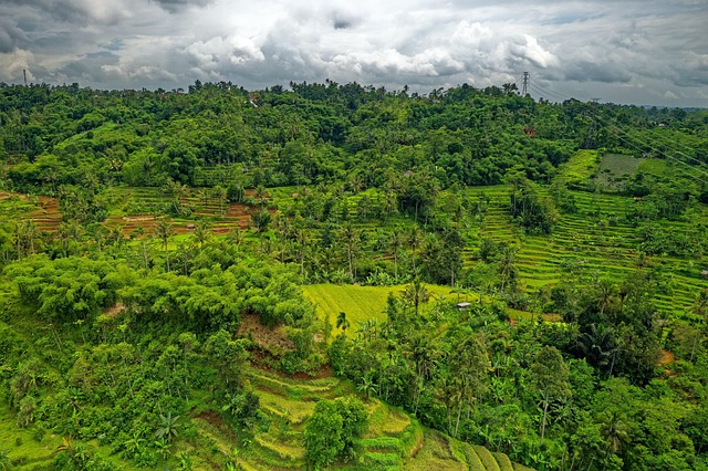 Free Agriculture Nature photo and picture