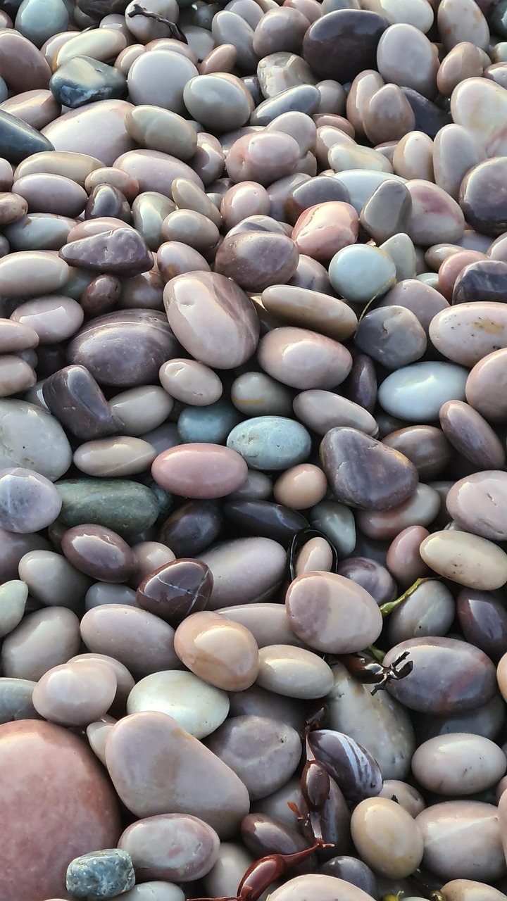 Pebble Images Pebbles Summer The Nature Of - Free photo on Pixabay - Pixabay