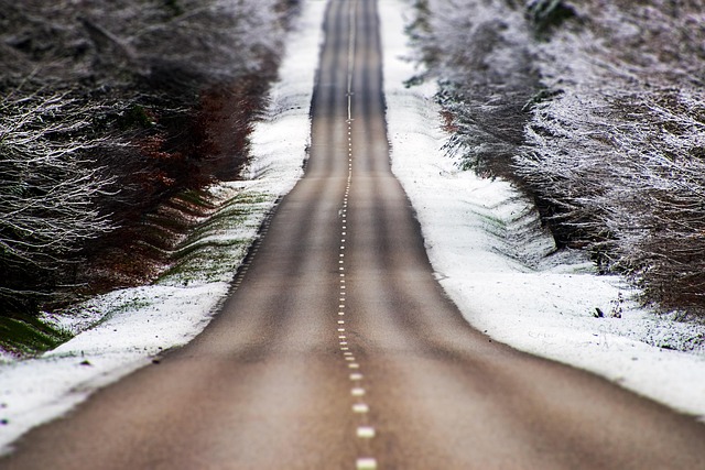 Free Road Path photo and picture