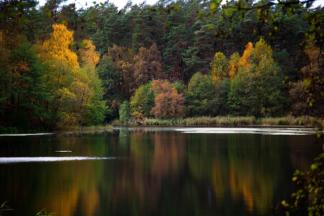 Free Lake Natue photo and picture