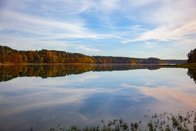 Free Lake Water photo and picture