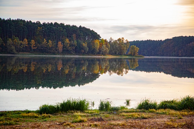 Free Lake Water photo and picture