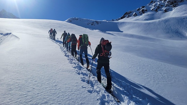 Free Backcountry Skiiing Ski photo and picture