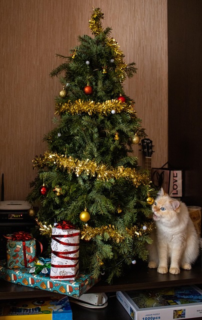 Árvore De Natal, Gato