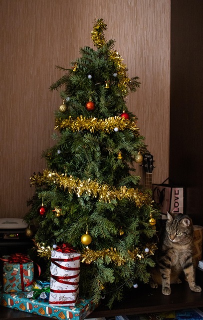 Natal, Árvore De Natal, Decorações, Gato