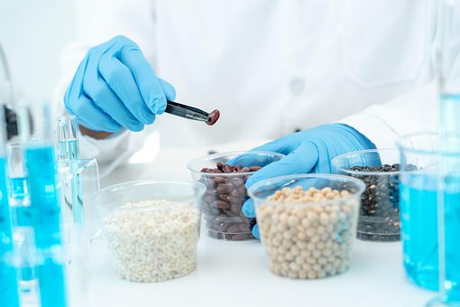 Kemisk, Mad, Laboratorium, Videnskab