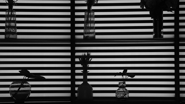 Silueta, Planta, Decoración, Jarrón