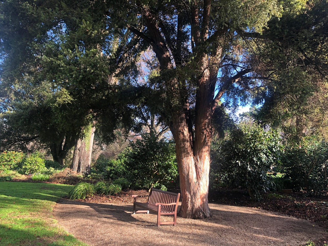quieto locanda e giardino foto