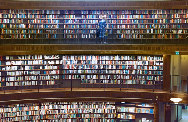 Öffentliche Bibliothek, Viele Bücher