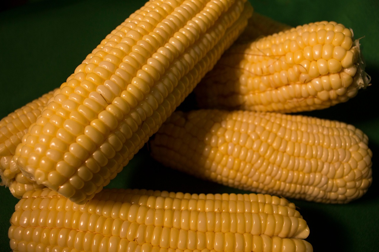 Corn Vegetables Grains Free photo on Pixabay Pixabay