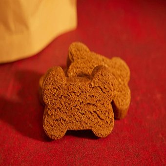 Free Bones Bone photo and picture