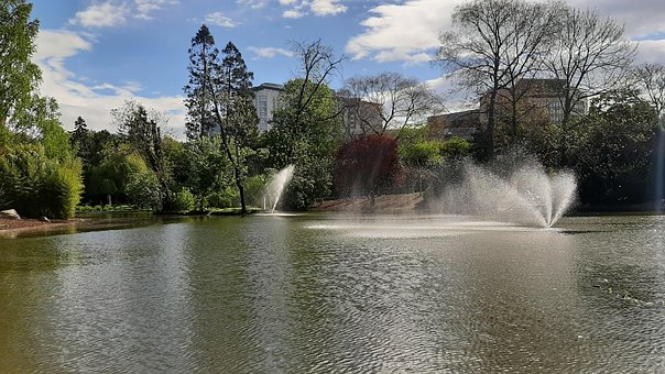 Free Nature Pond photo and picture