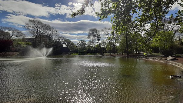 Free Pond Lake photo and picture