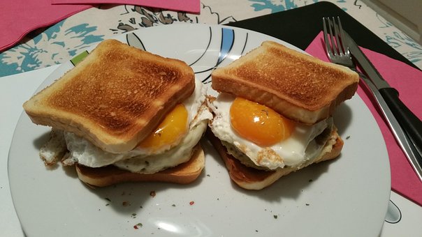 Free Food Meal photo and picture