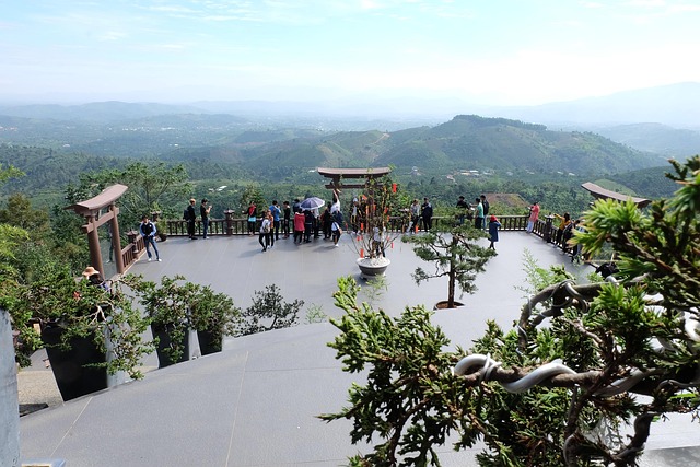 Berg, Dalat, Wald, Baum, Pagode, Bonsai