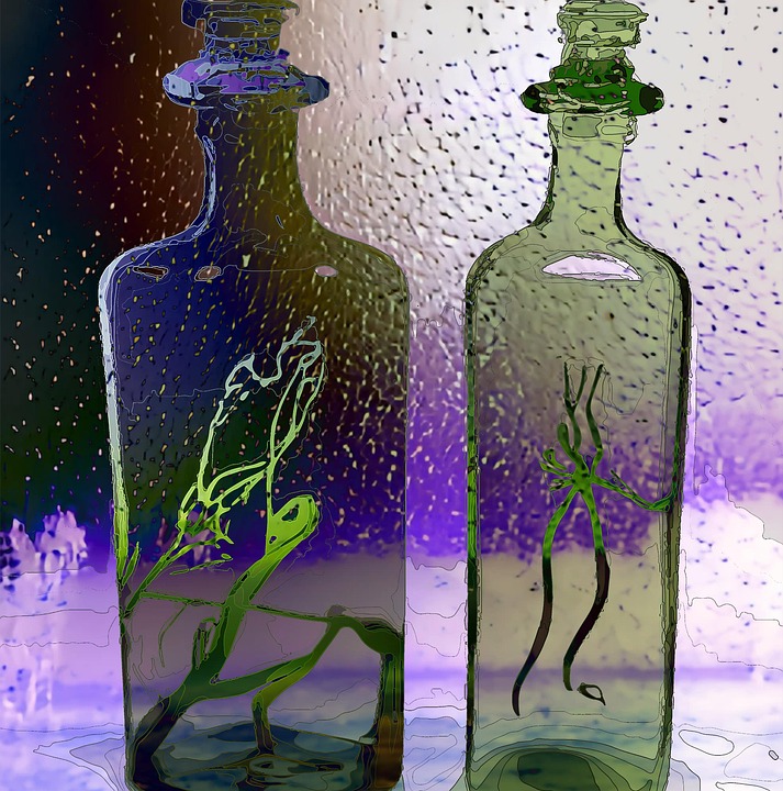 Bottle Rain Preserved Free image on Pixabay