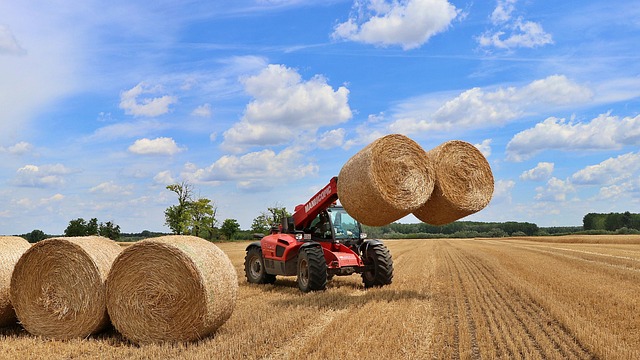 Agriculture Aratar Grain - Free photo on Pixabay - Pixabay