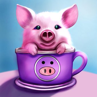 Free Pig Piggy photo and picture