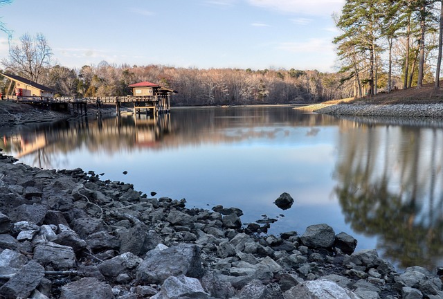 Free River Park photo and picture