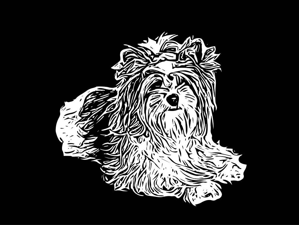 download-dog-pet-line-art-royalty-free-vector-graphic-pixabay