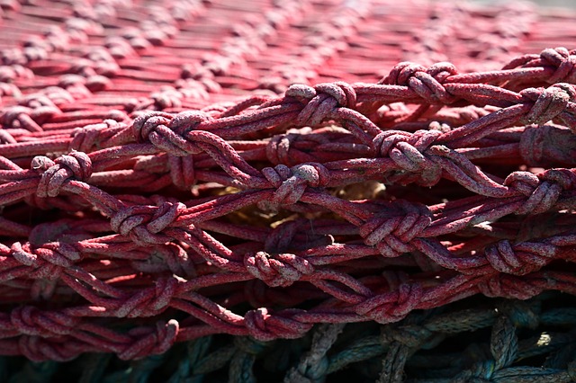 Free Red Fisherman photo and picture