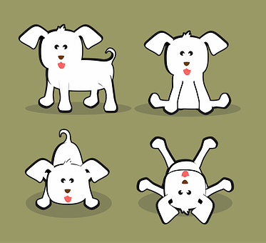 Dyr, Hundehvalp, Sjov, Sød, Hunde