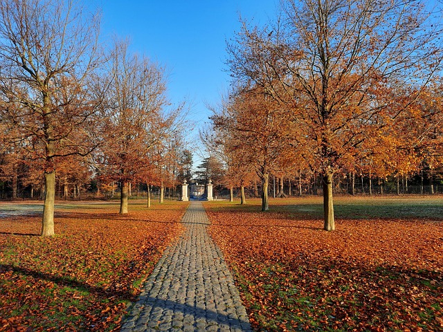 Free Autumn Park photo and picture