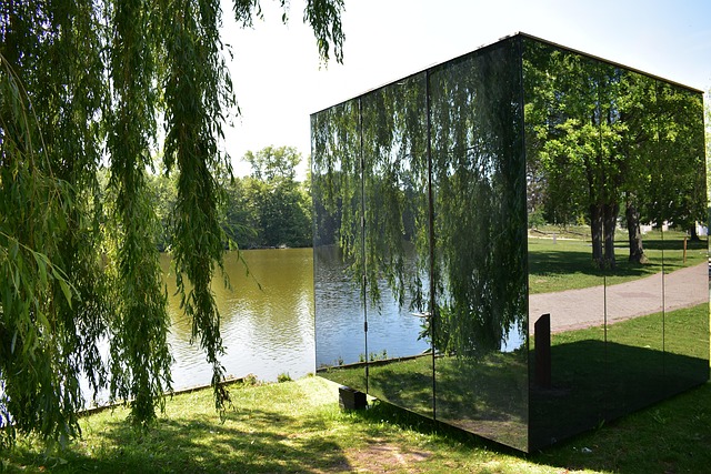 Free Dark Lake Reflection photo and picture