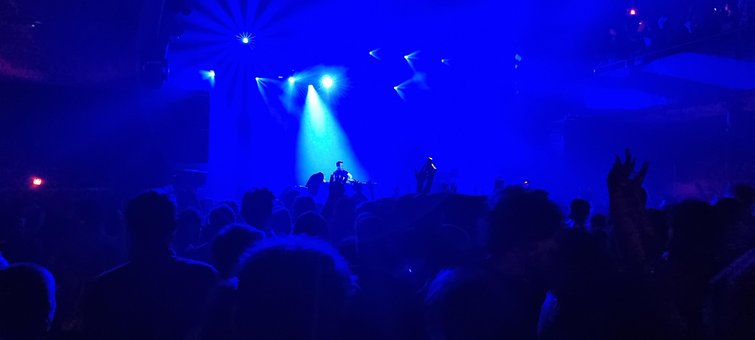 Dj, Vesterbro, Vegano, Copenhagen