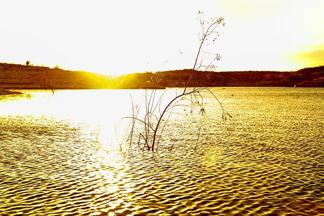 Solnedgang, Landskab, Natur, Skumring