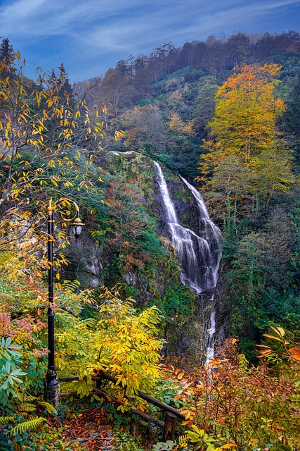 Wasserfall, Natur, Ansicht, Grün, Baum