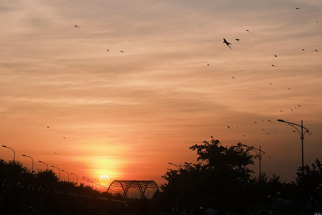 Zonsondergang, Vlieger, Vietnam, Zon