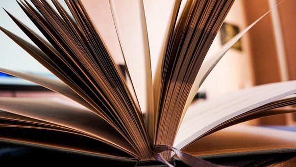 Bestil, Sider, Læsning, Litteratur
