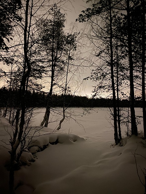 Free Night Riverbank photo and picture