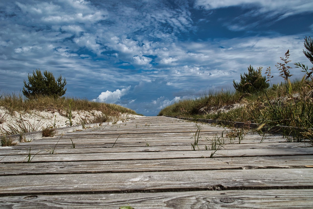 Path Beach Pic Path Nature Beach Access - Free photo on Pixabay - Pixabay