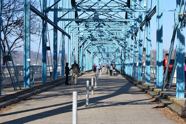Free Bridge City photo and picture
