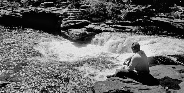 Free Waterhole Swimming photo and picture