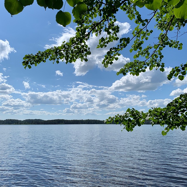 Free Lake Latvia photo and picture