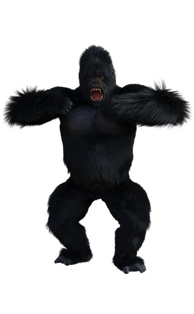 Free gorilla ape primate illustration