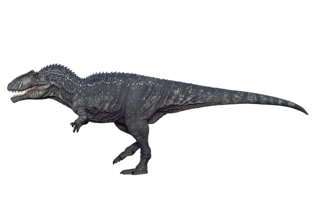 Download free HD stock image of Cretaceous Giganotosaurus Free cretaceous giganotosaurus dinosaur illustration