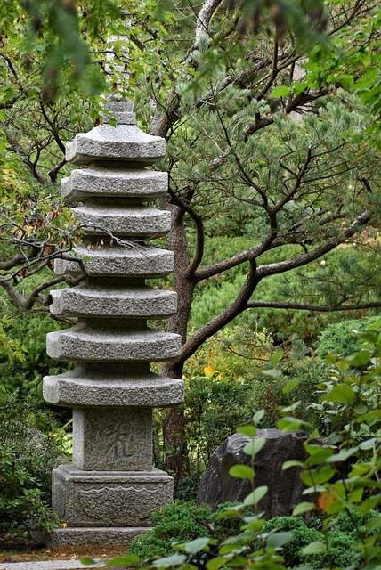 Free Zen Meditation photo and picture