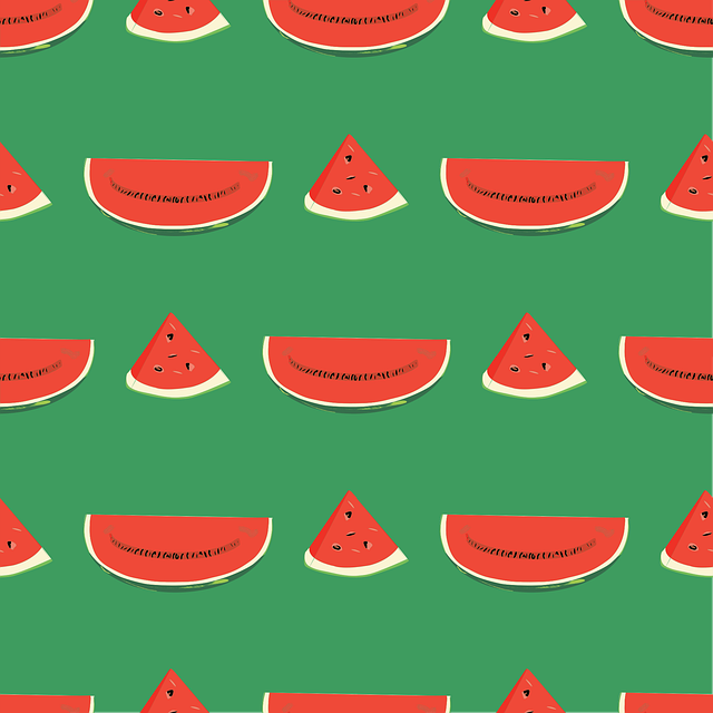 Free fruit watermelon slices vector