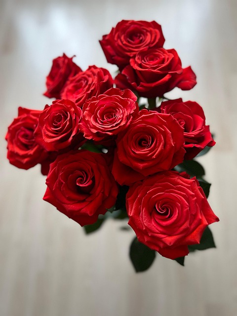 Blumen Rosen Botanik - Kostenloses Foto auf Pixabay - Pixabay